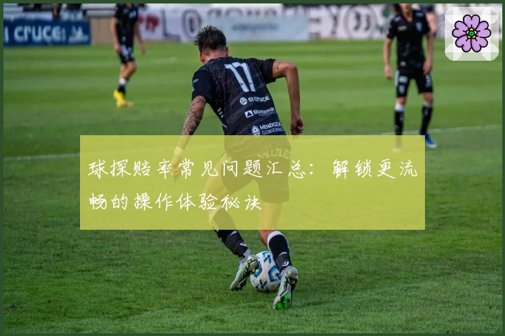 球探赔率常见问题汇总：解锁更流畅的操作体验秘诀