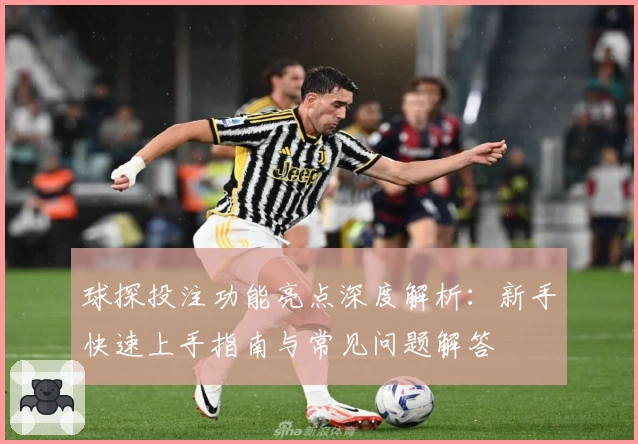 球探投注功能亮点深度解析：新手快速上手指南与常见问题解答